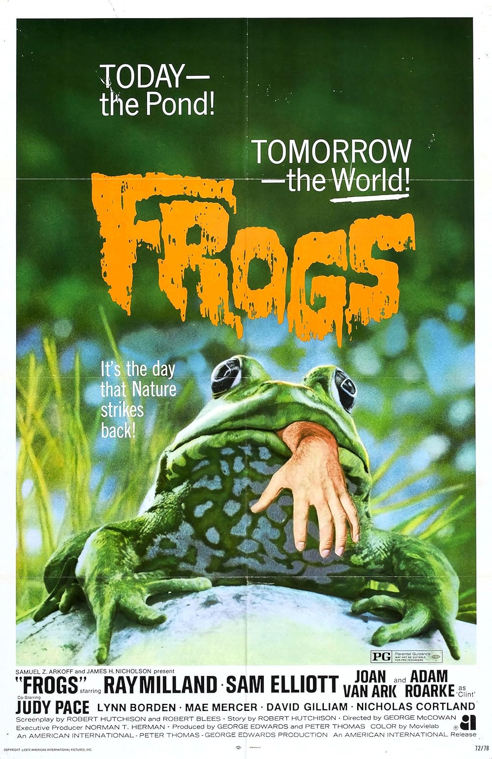 Frogs 