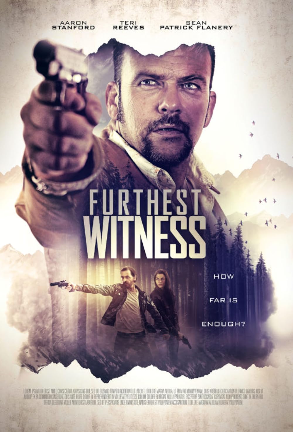 Furthest Witness 