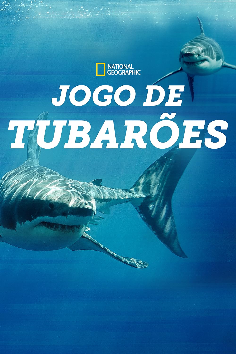 Game of Sharks 