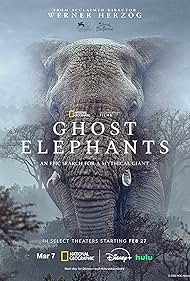 Ghost Elephants 