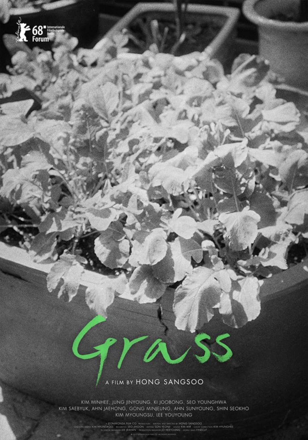 Grass 