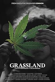 Grassland 