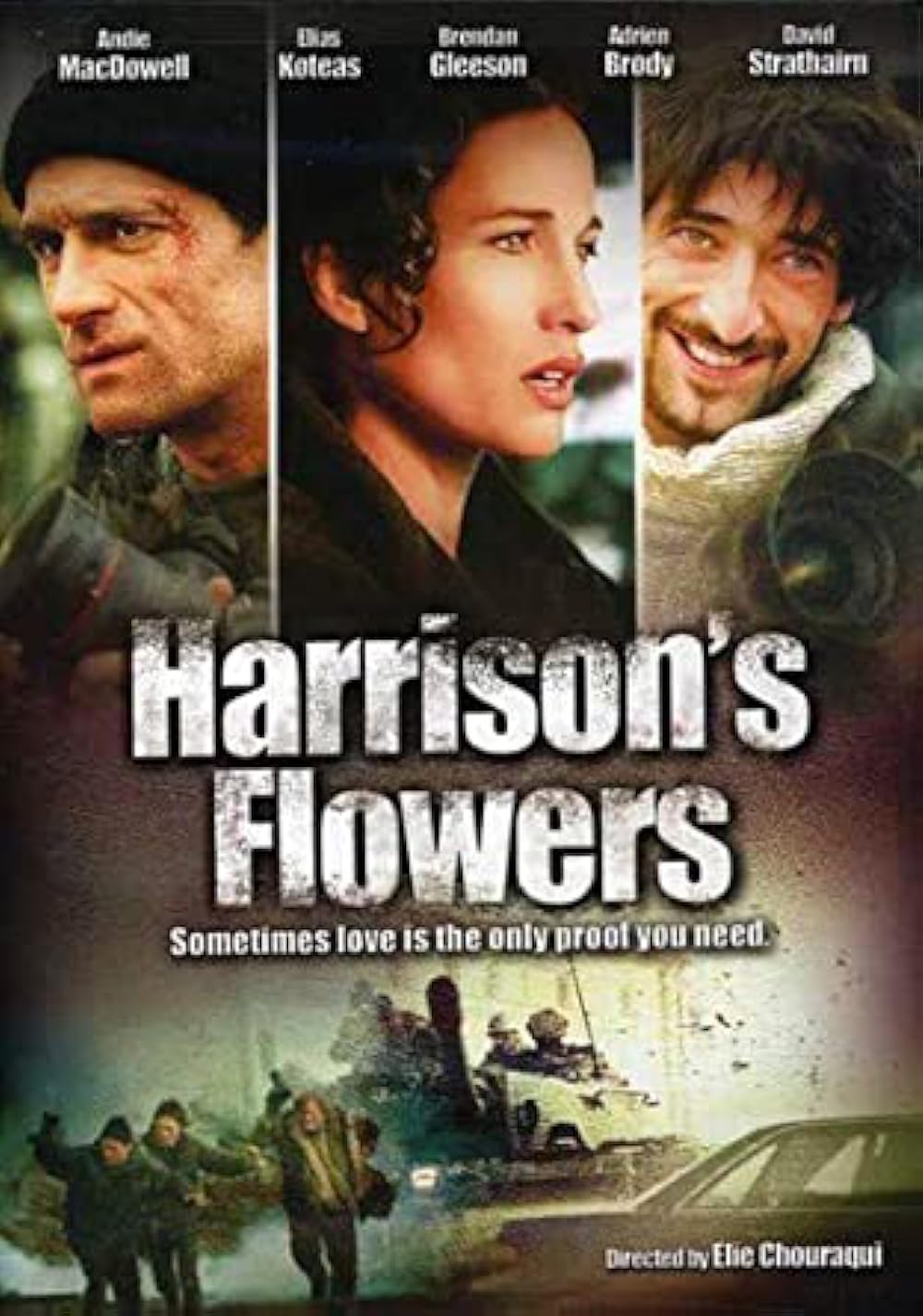 Harrison's Flowers 