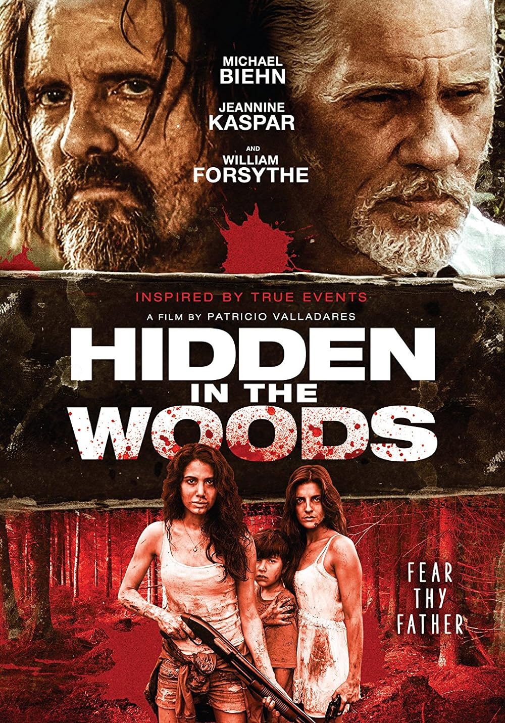 Hidden in the Woods 