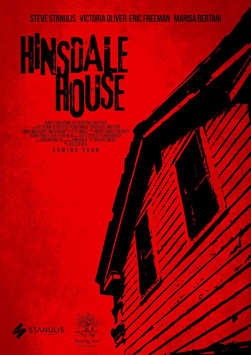 Hinsdale House 