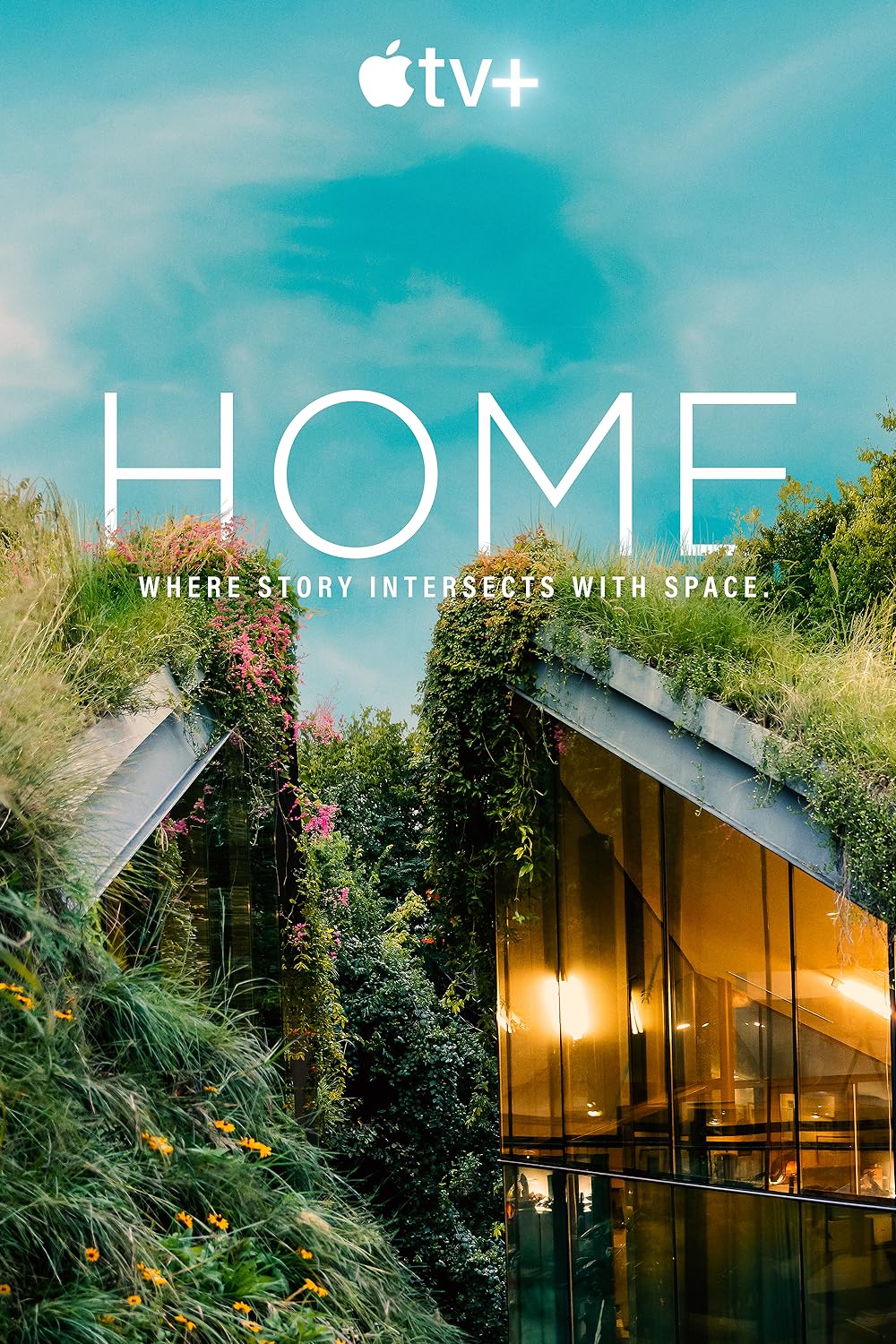 Home 