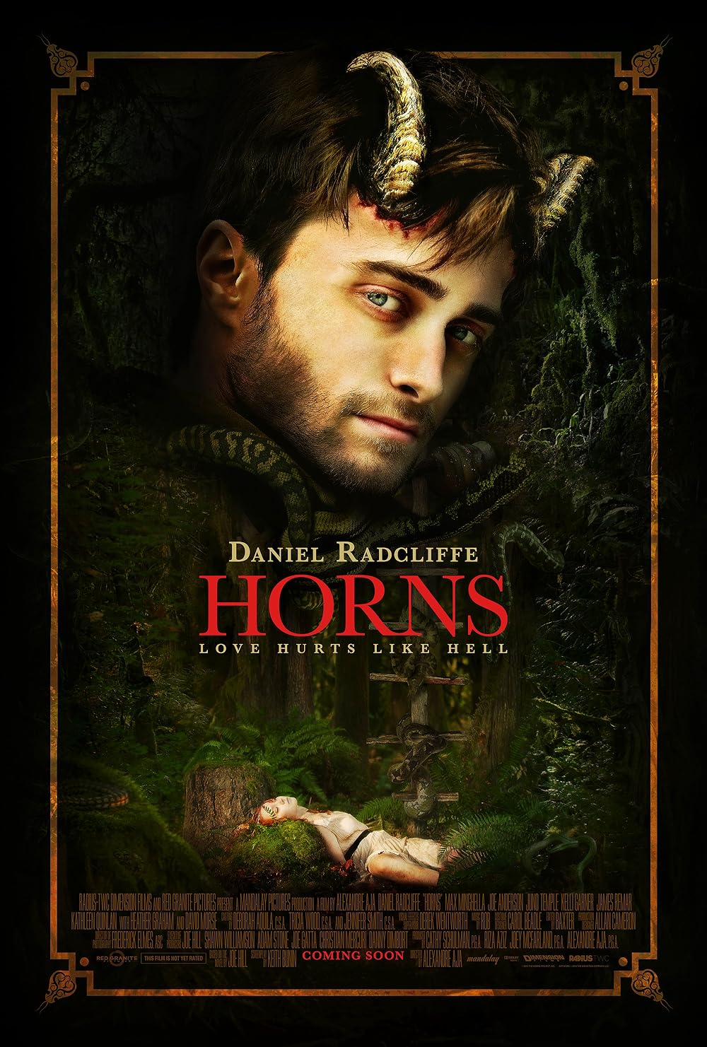 Horns 