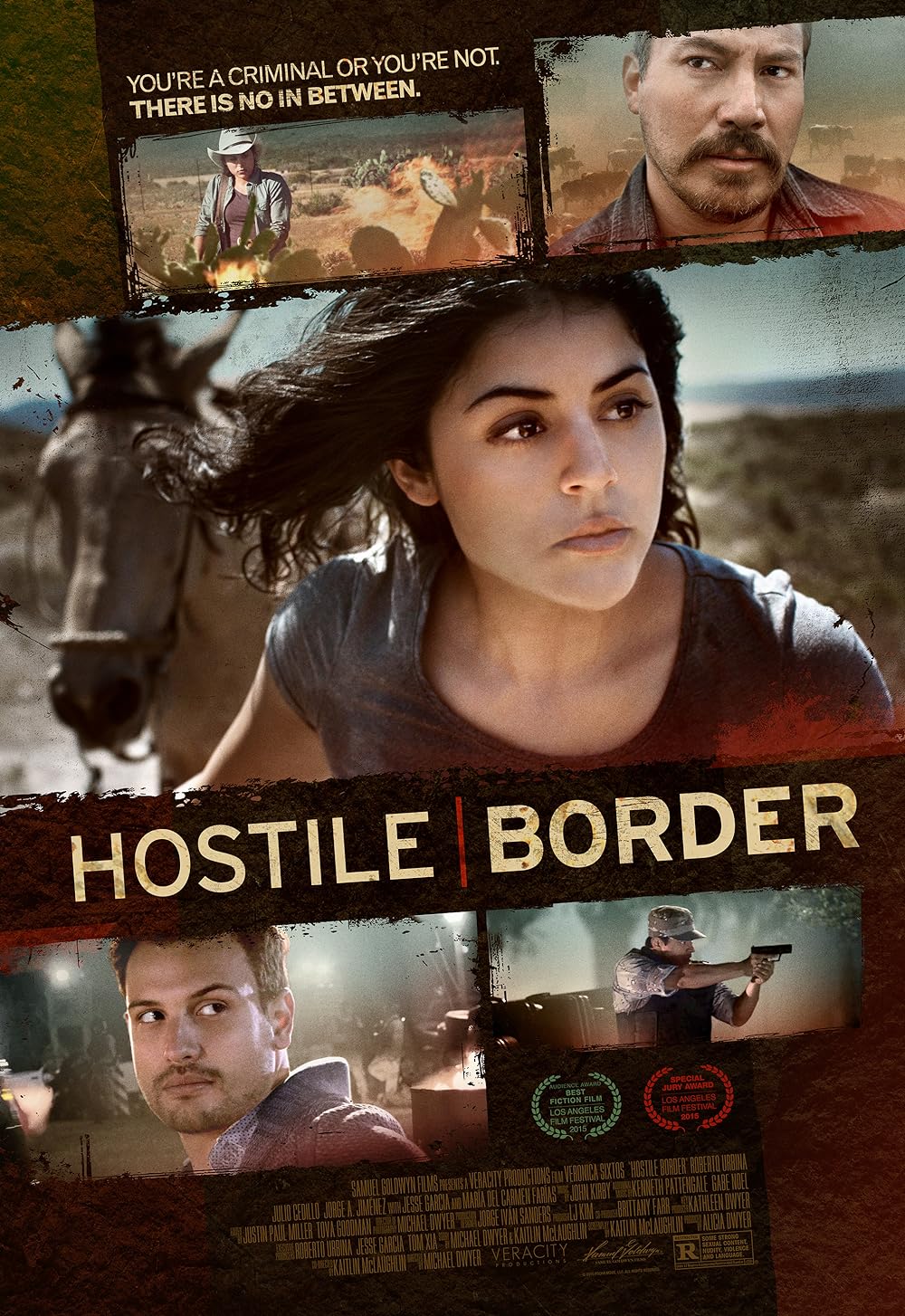 Hostile Border 