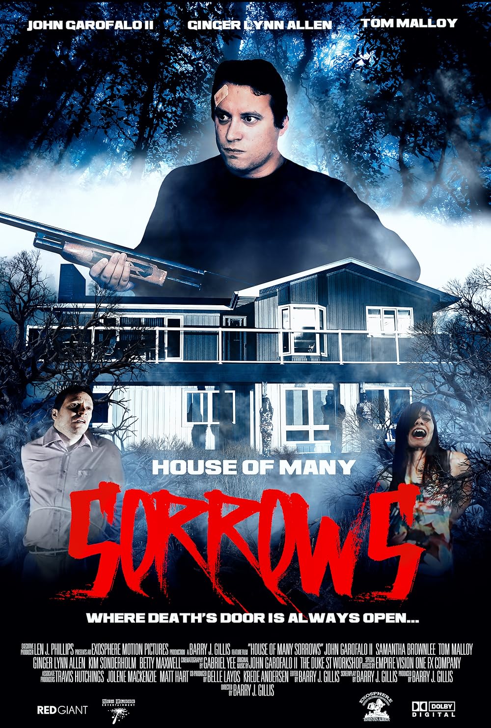House of Many Sorrows 