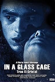 In a Glass Cage 
