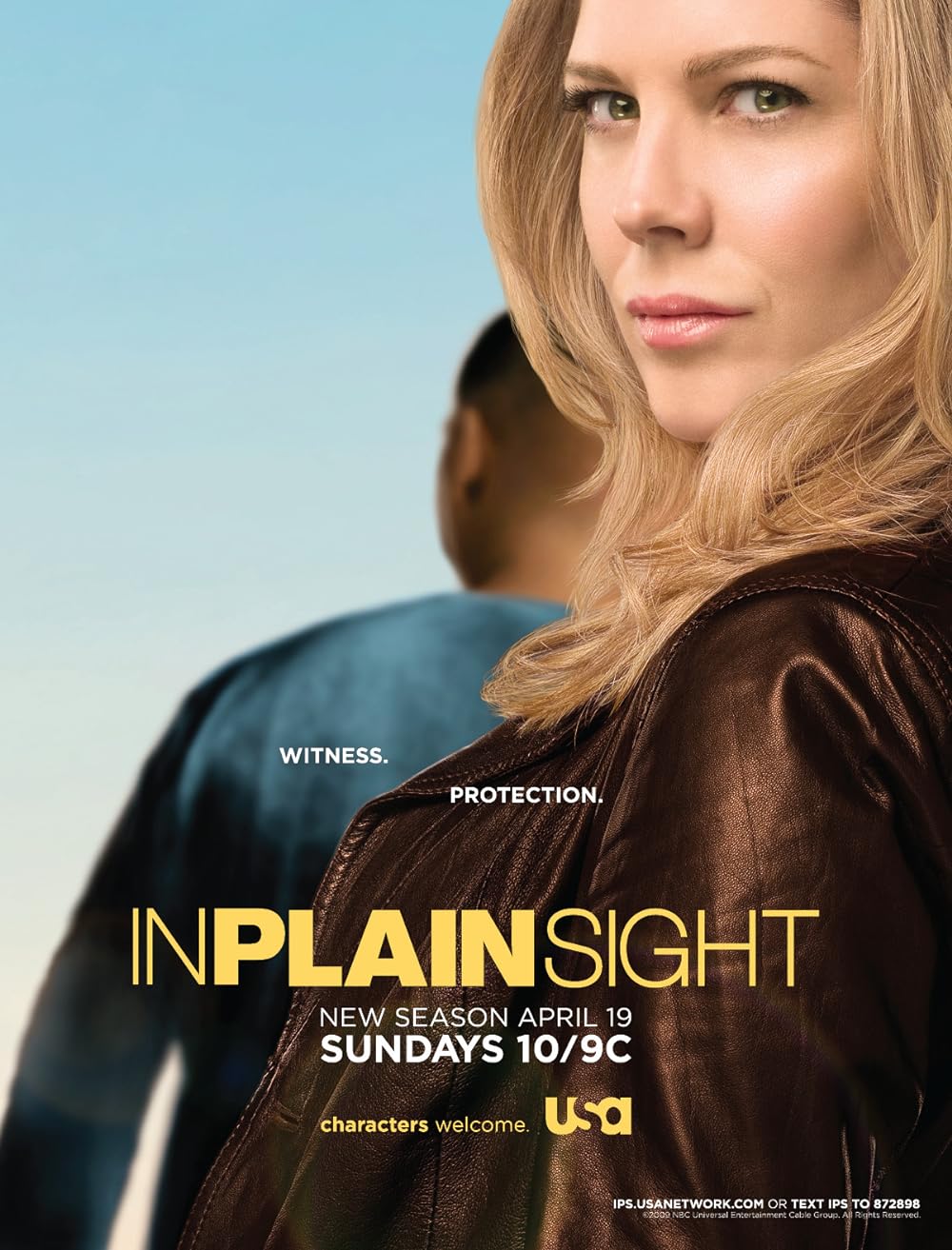 In Plain Sight 
