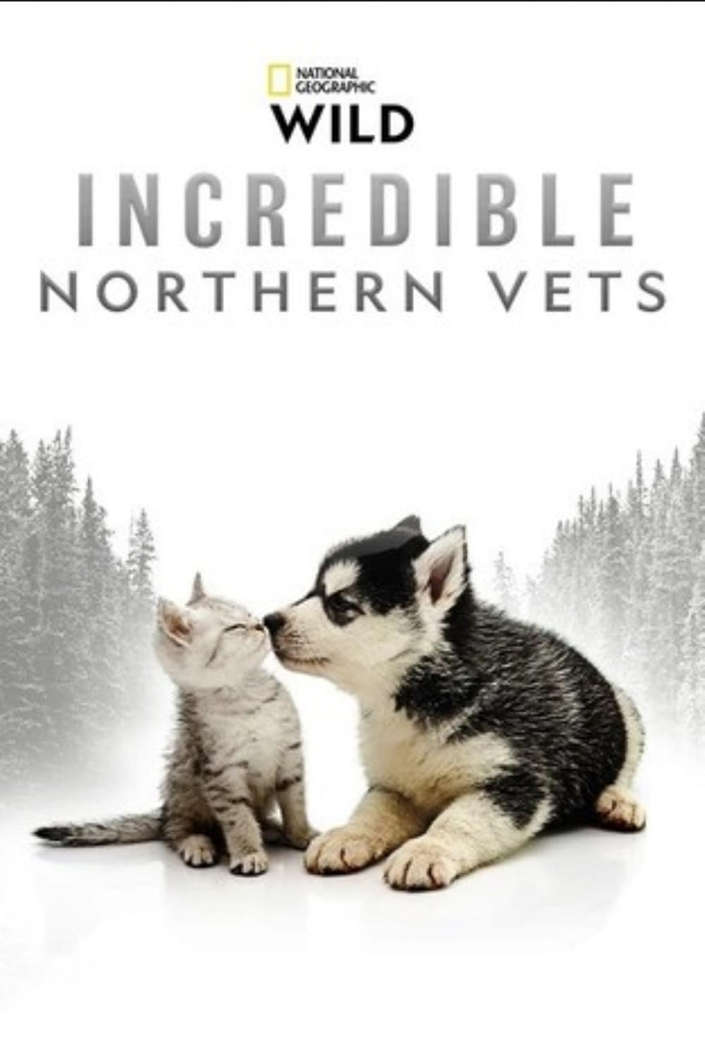 Incredible Northern Vets (2025)