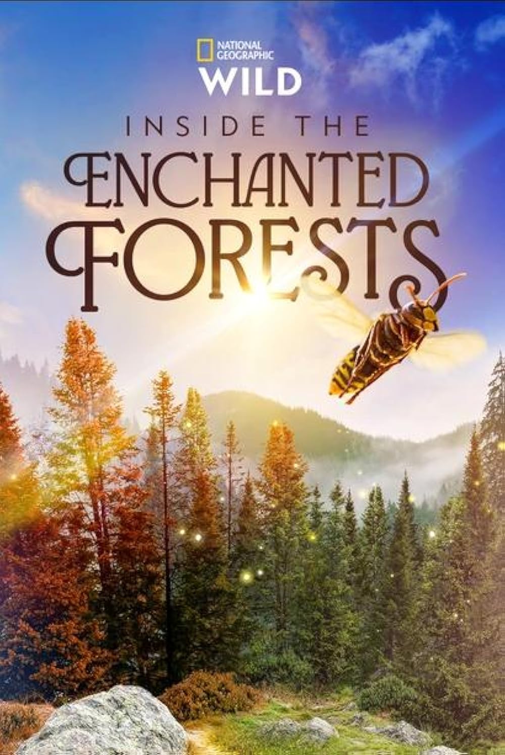 Inside the Enchanted Forests 
