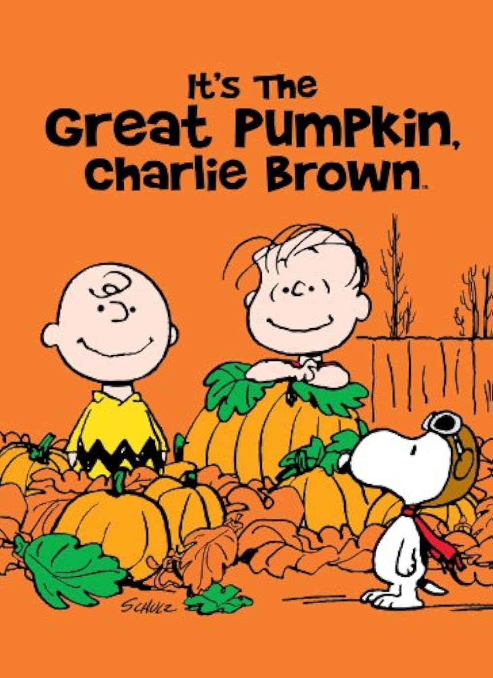 It's the Great Pumpkin, Charlie Brown 