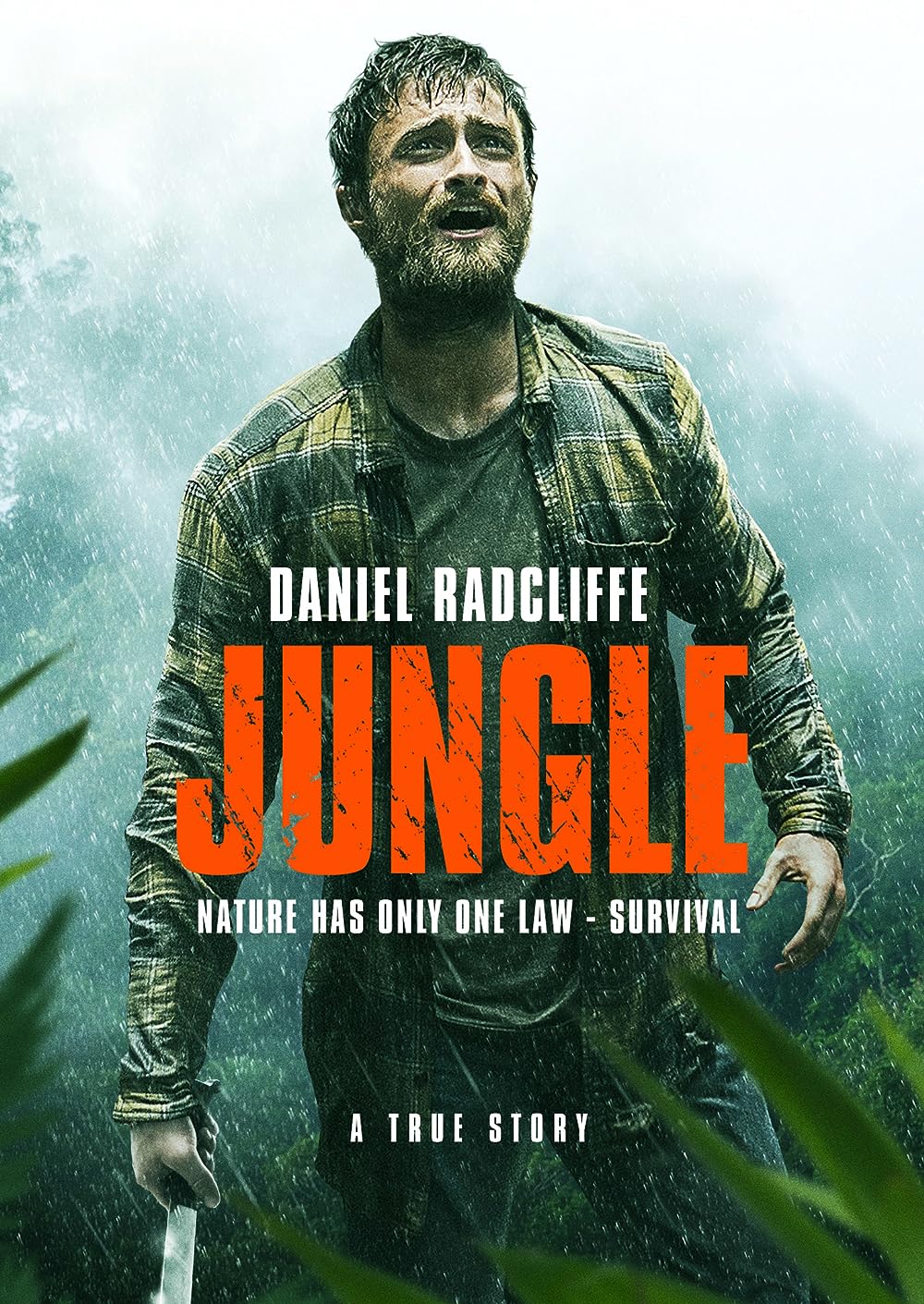 Jungle 