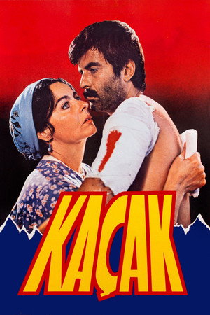 Kaçak 