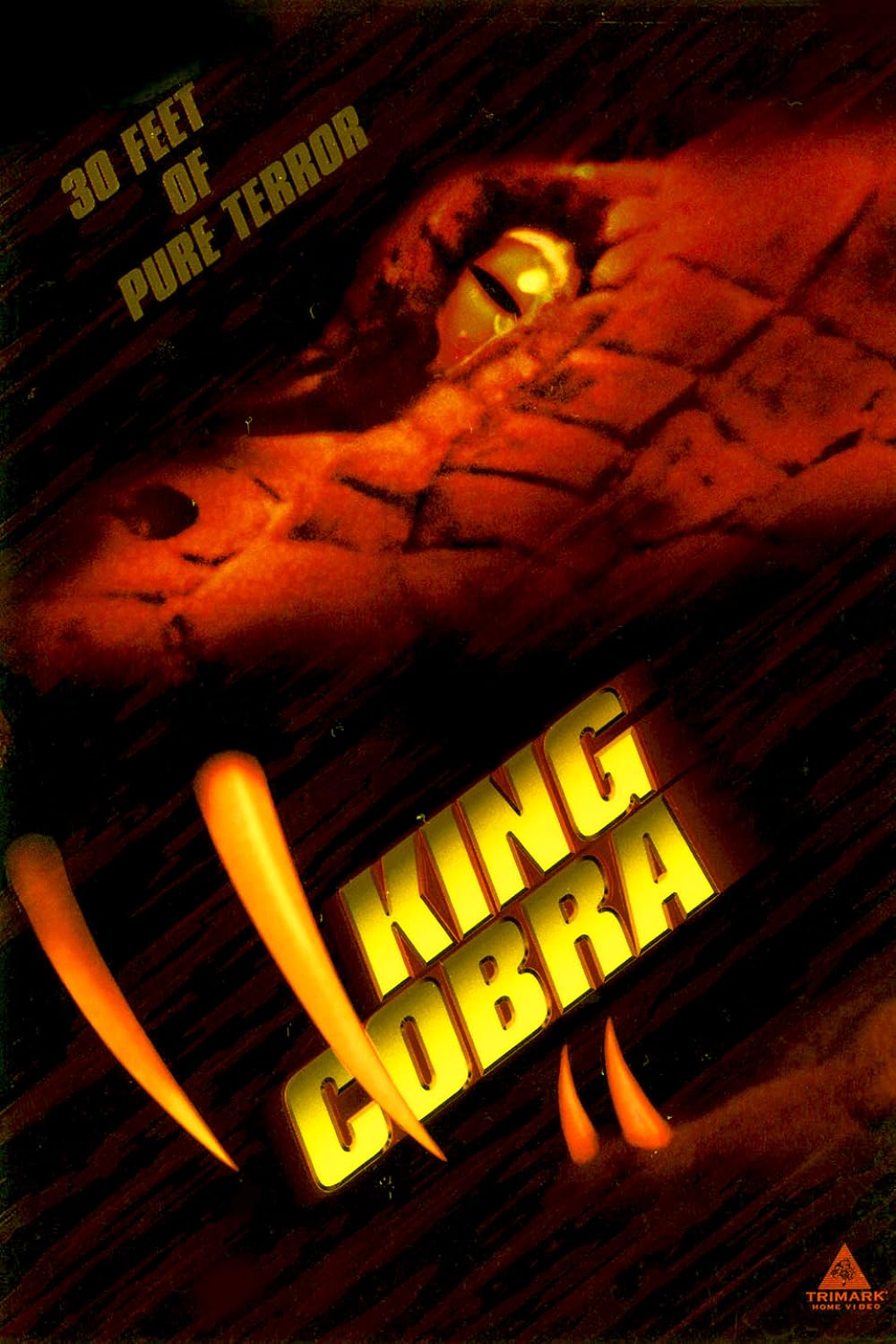 King Cobra 