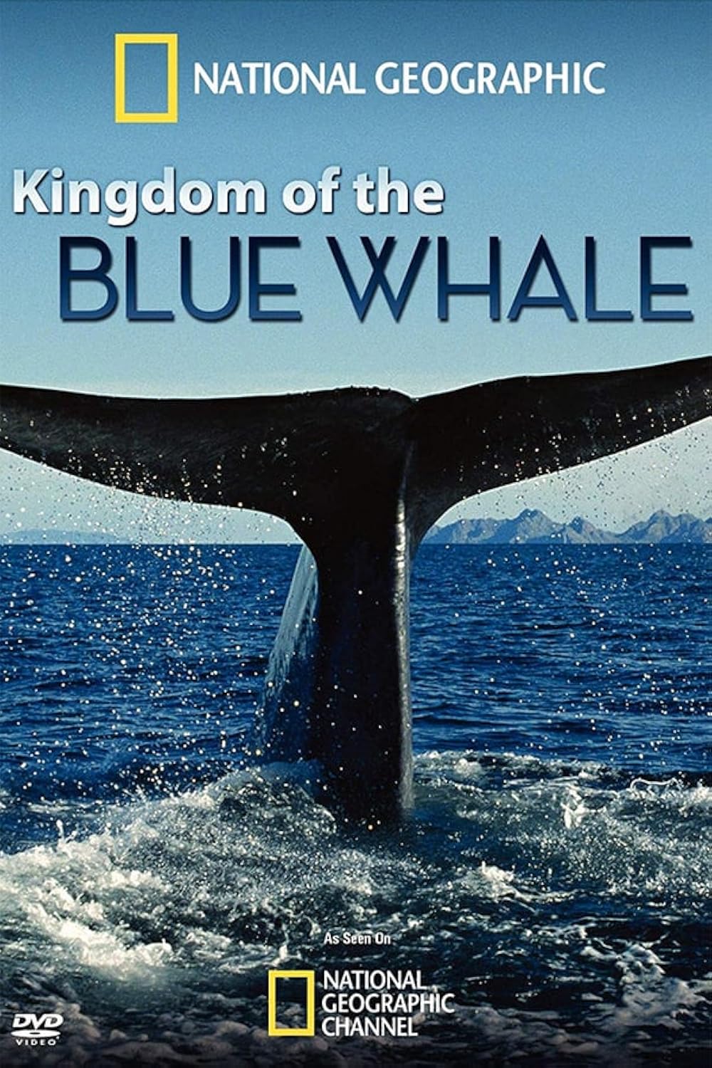Kingdom of the Blue Whale 