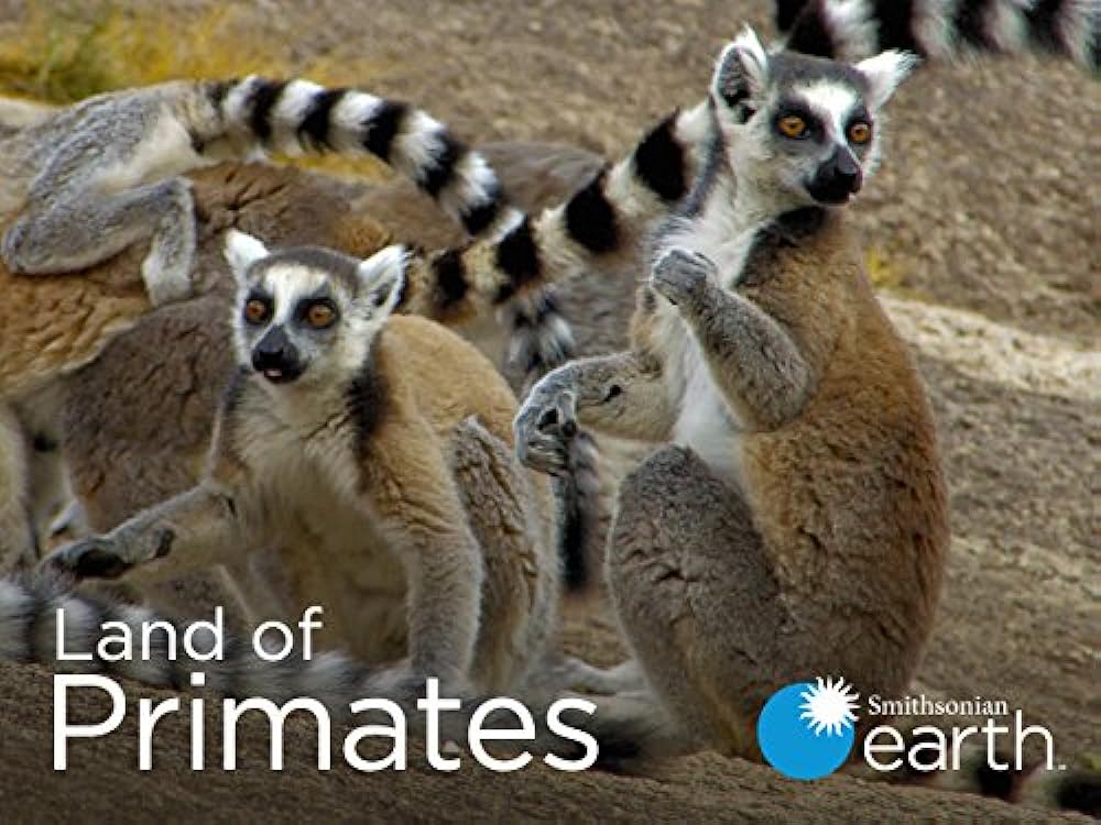 Land of Primates 