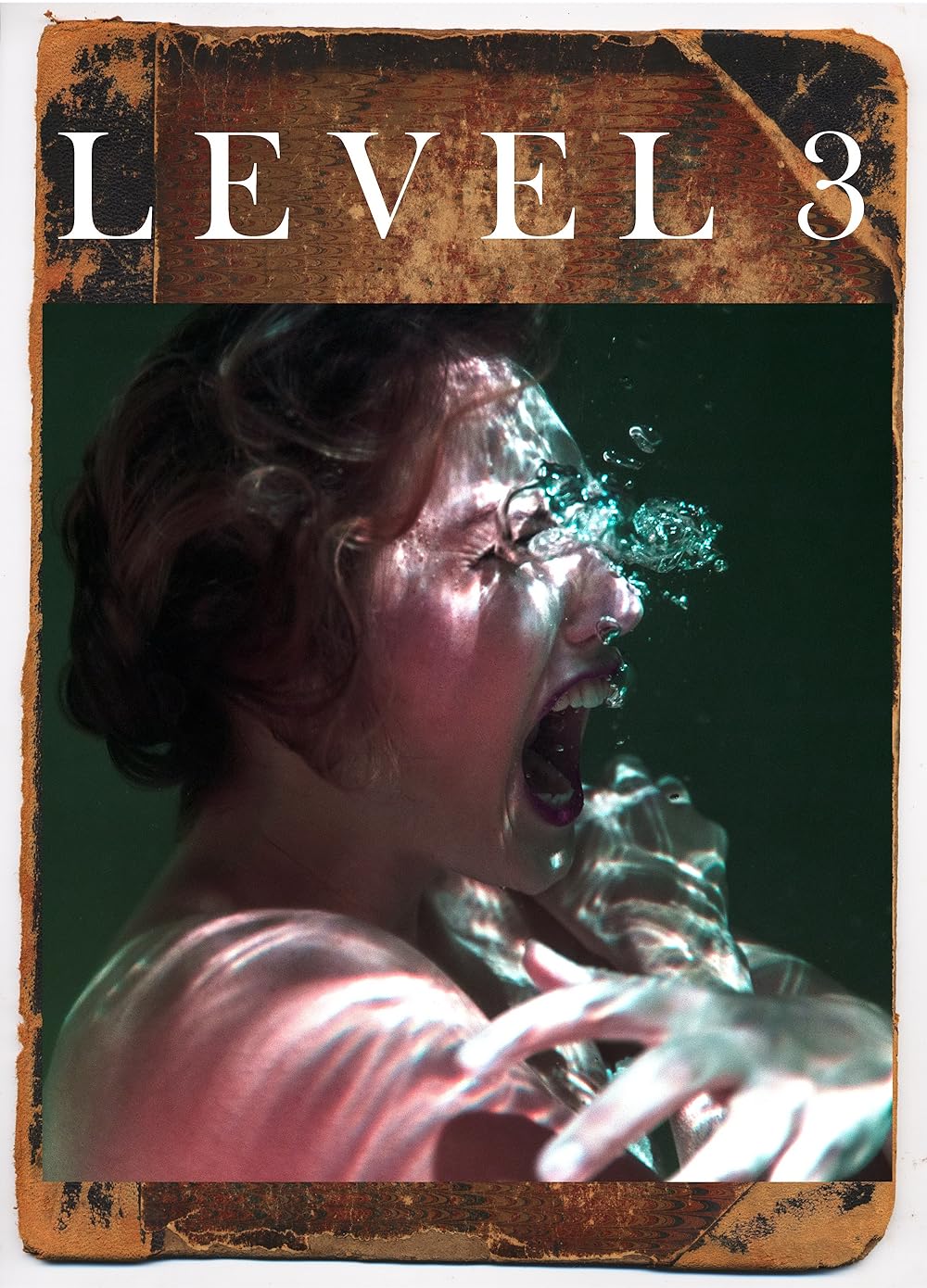 Level 3 