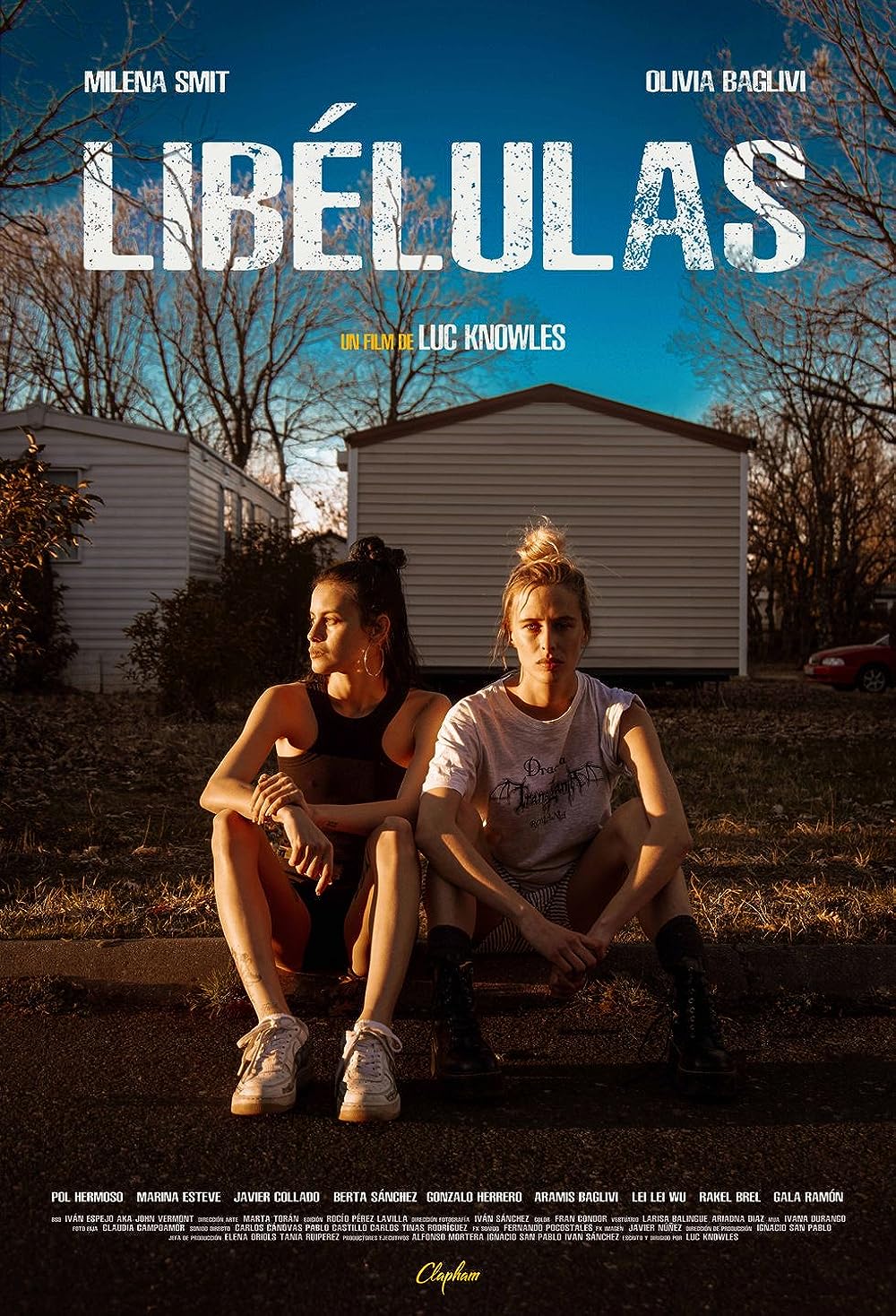 LibÃ©lulas 