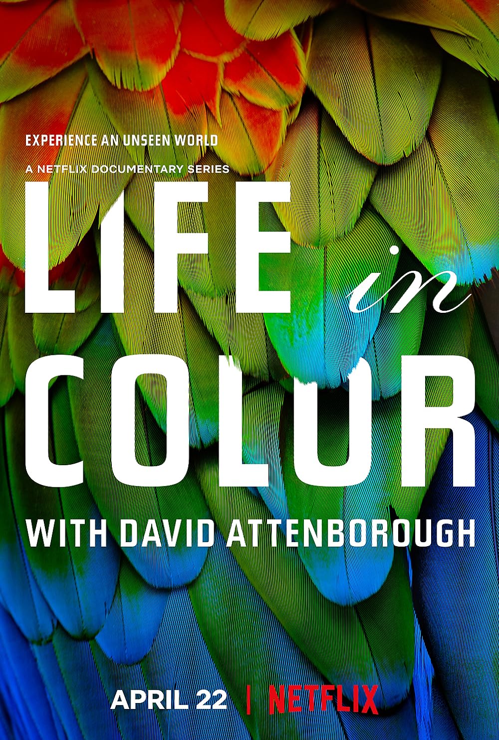 Life in Colour 