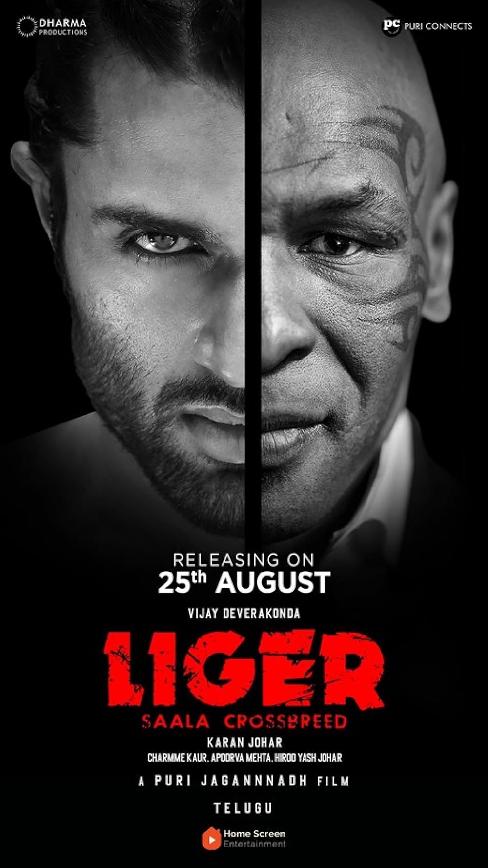 Liger 