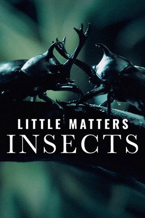 Little Matters: Insects