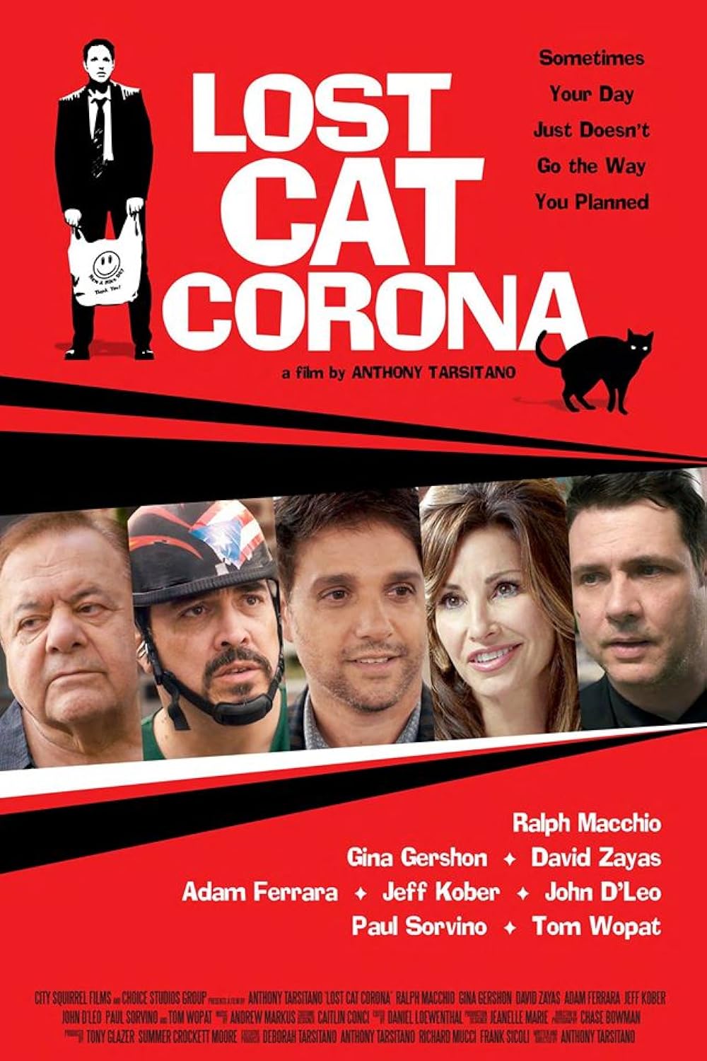 Lost Cat Corona 
