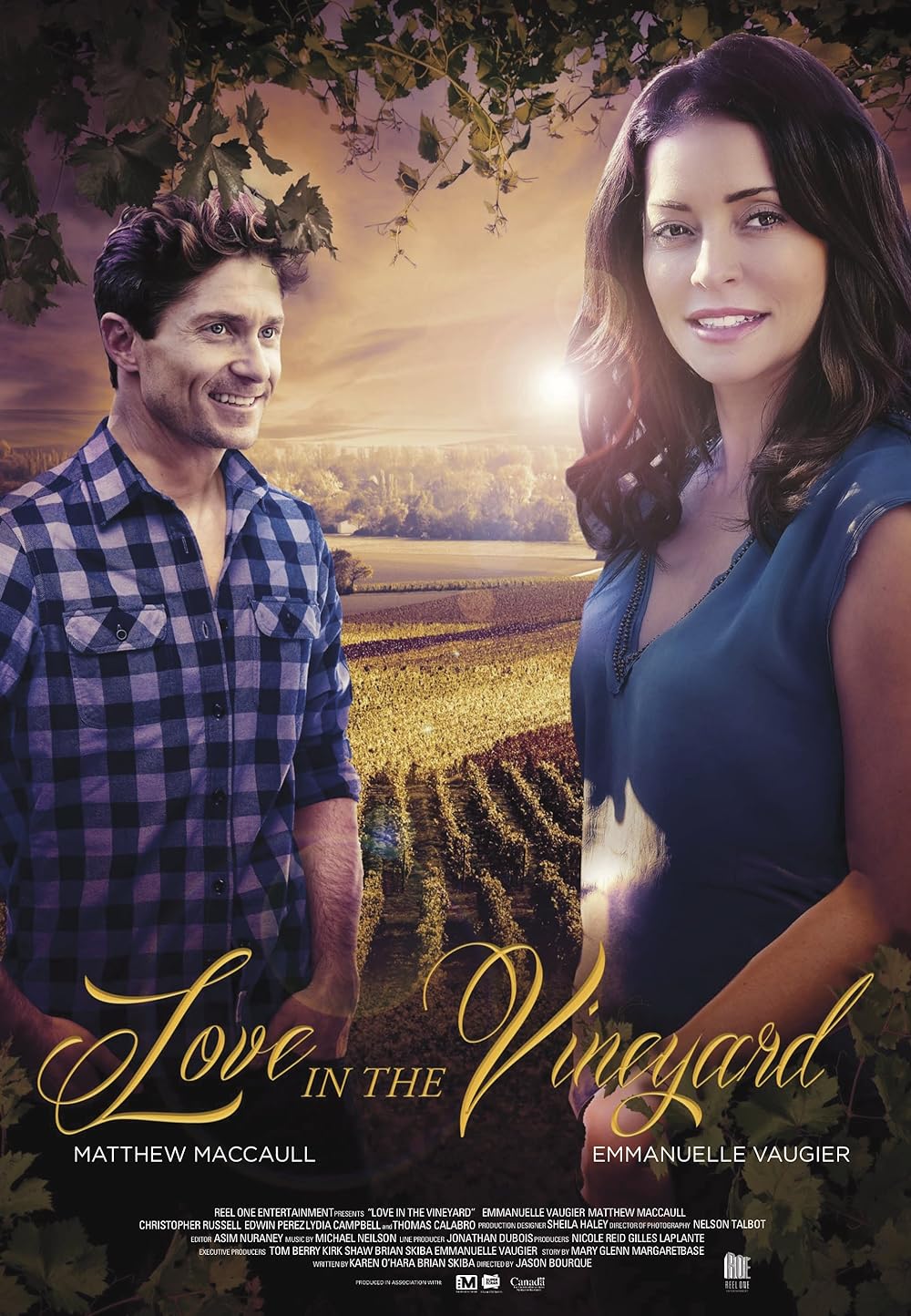 Love in the Vineyard 