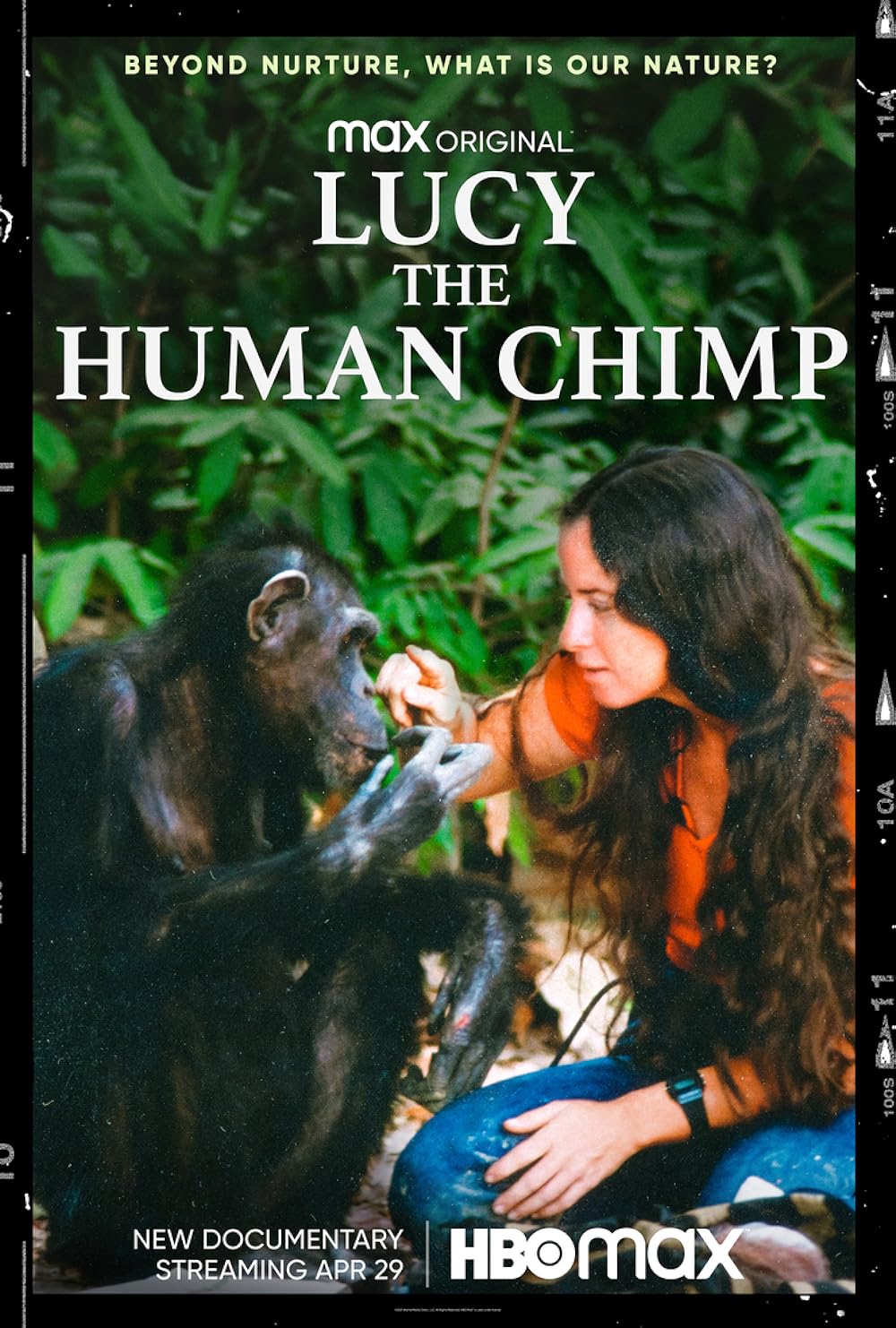 Lucy, the Human Chimp 
