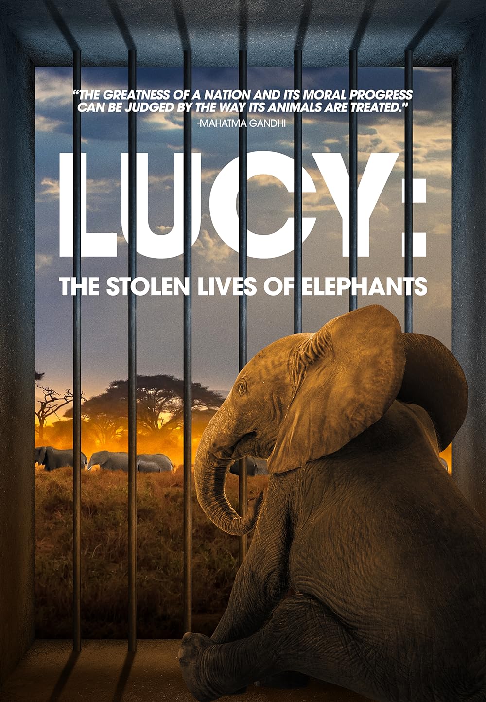 Lucy: The Stolen Lives of Elephants 