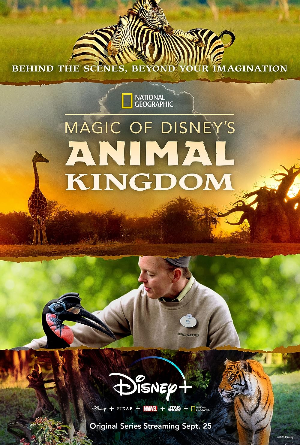 Magic of Disney's Animal Kingdom 