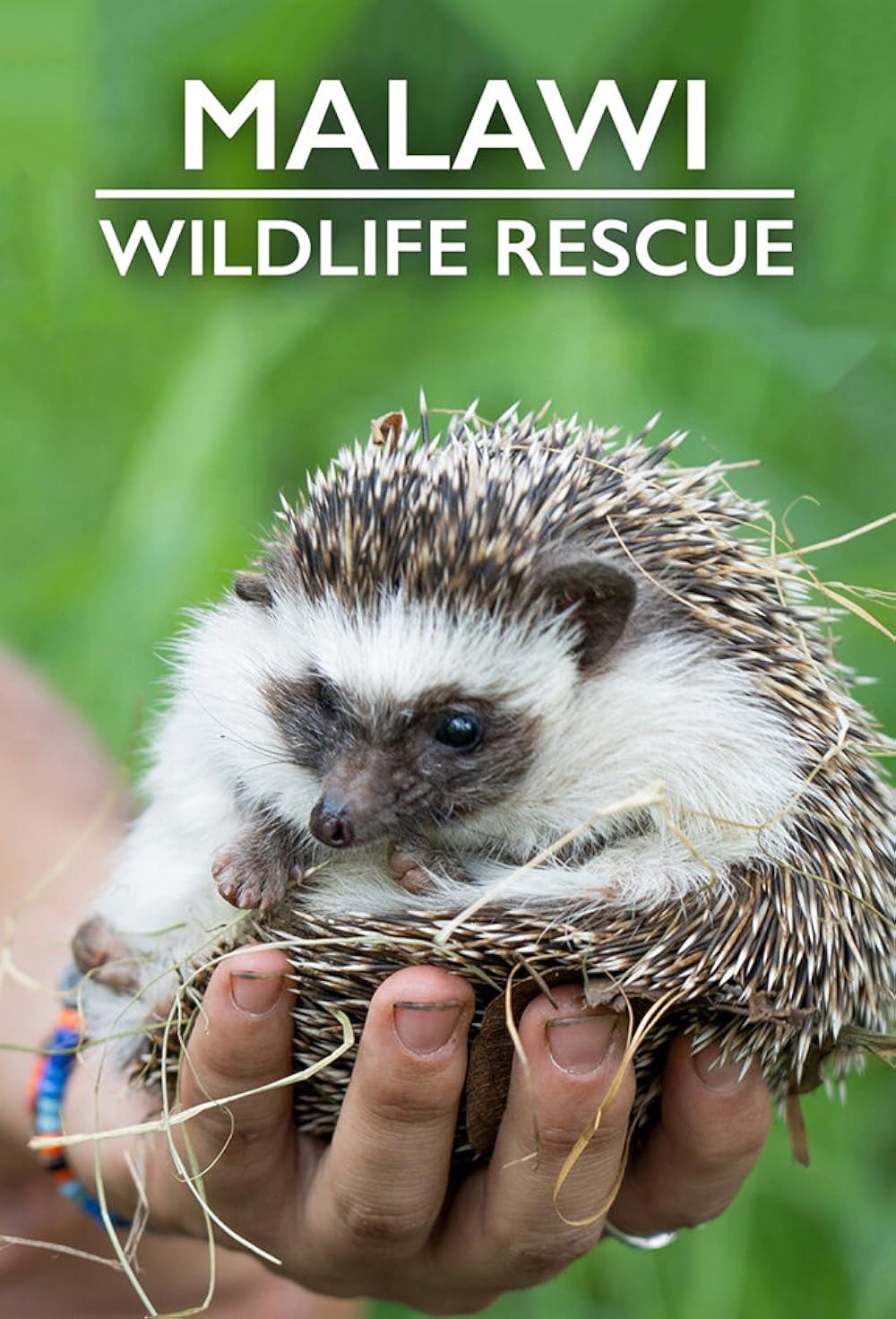 Malawi Wildlife Rescue 
