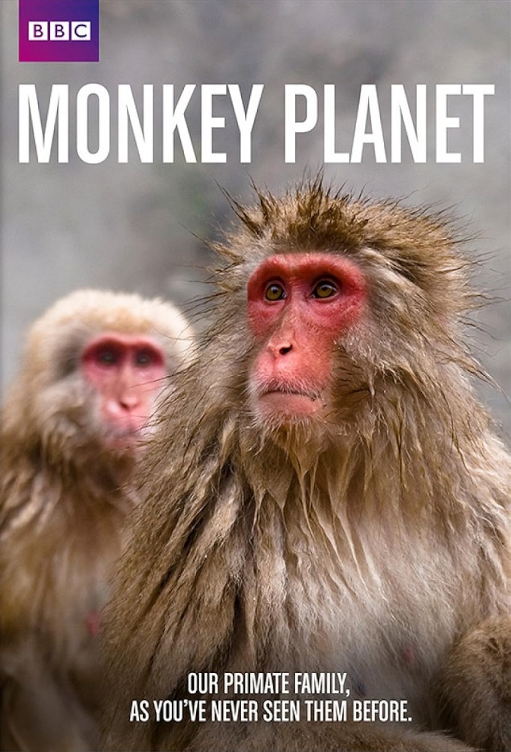 Monkey Planet 