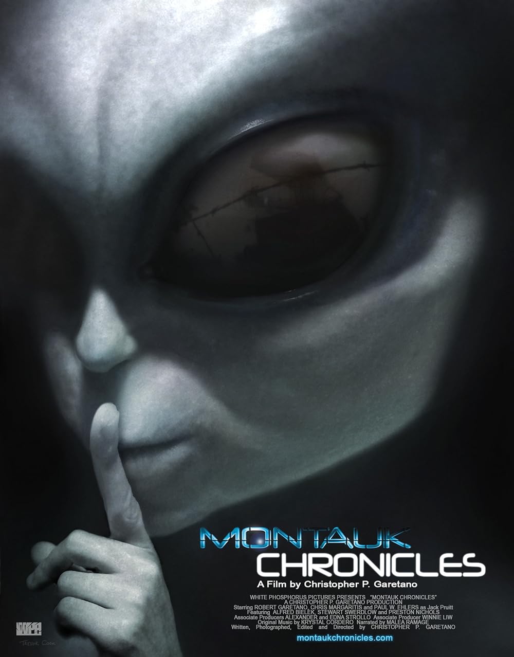 Montauk Chronicles 