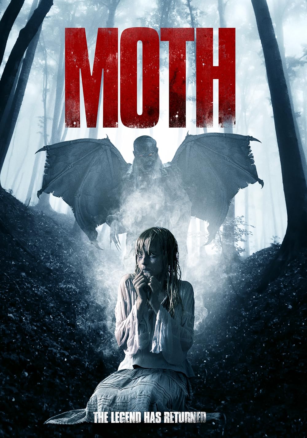 Moth 