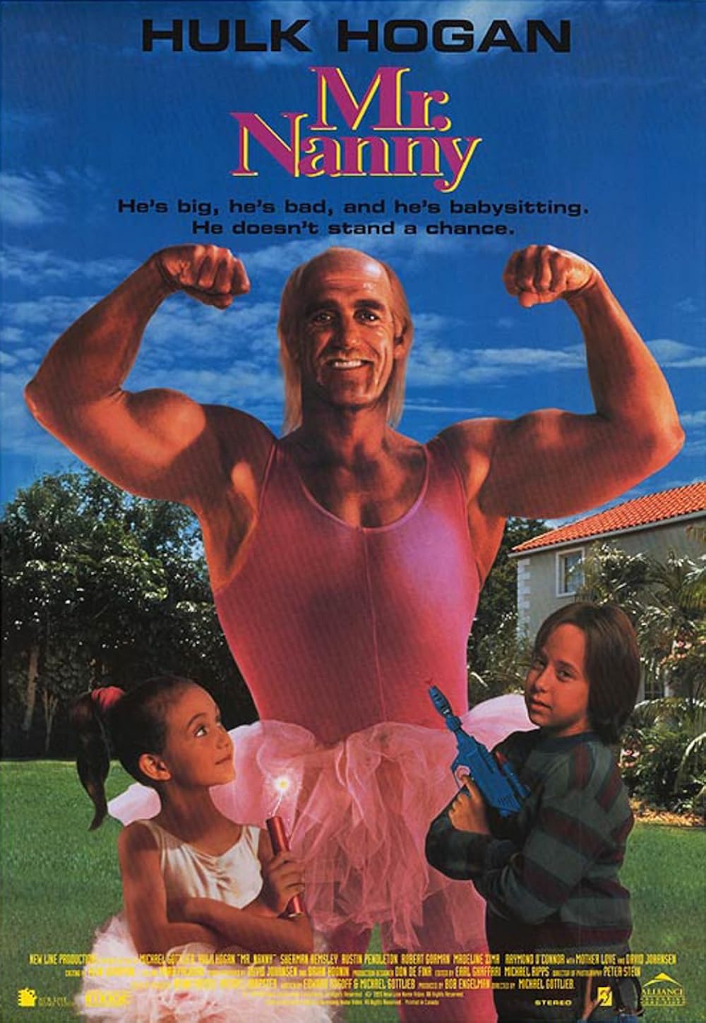 Mr. Nanny 