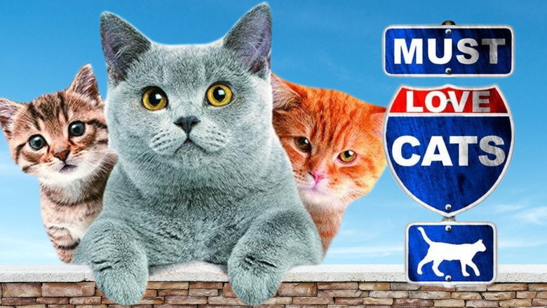 Must Love Cats (2011)