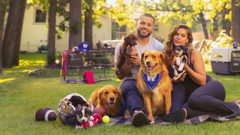 Must Love Dogs (TV Series 2026– ) 2026