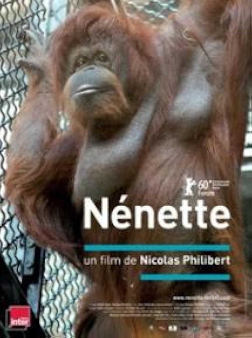 NÃ©nette 