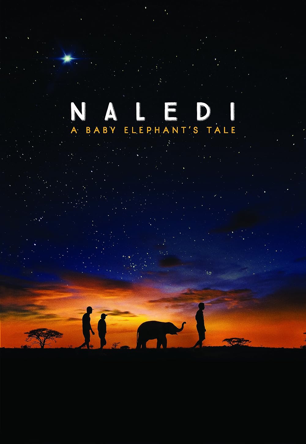 Naledi: A Baby Elephant's Tale 