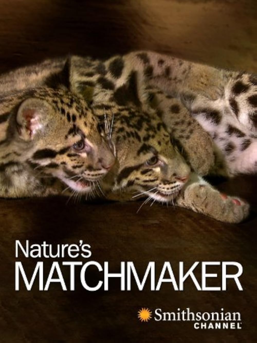 Nature's Matchmaker 