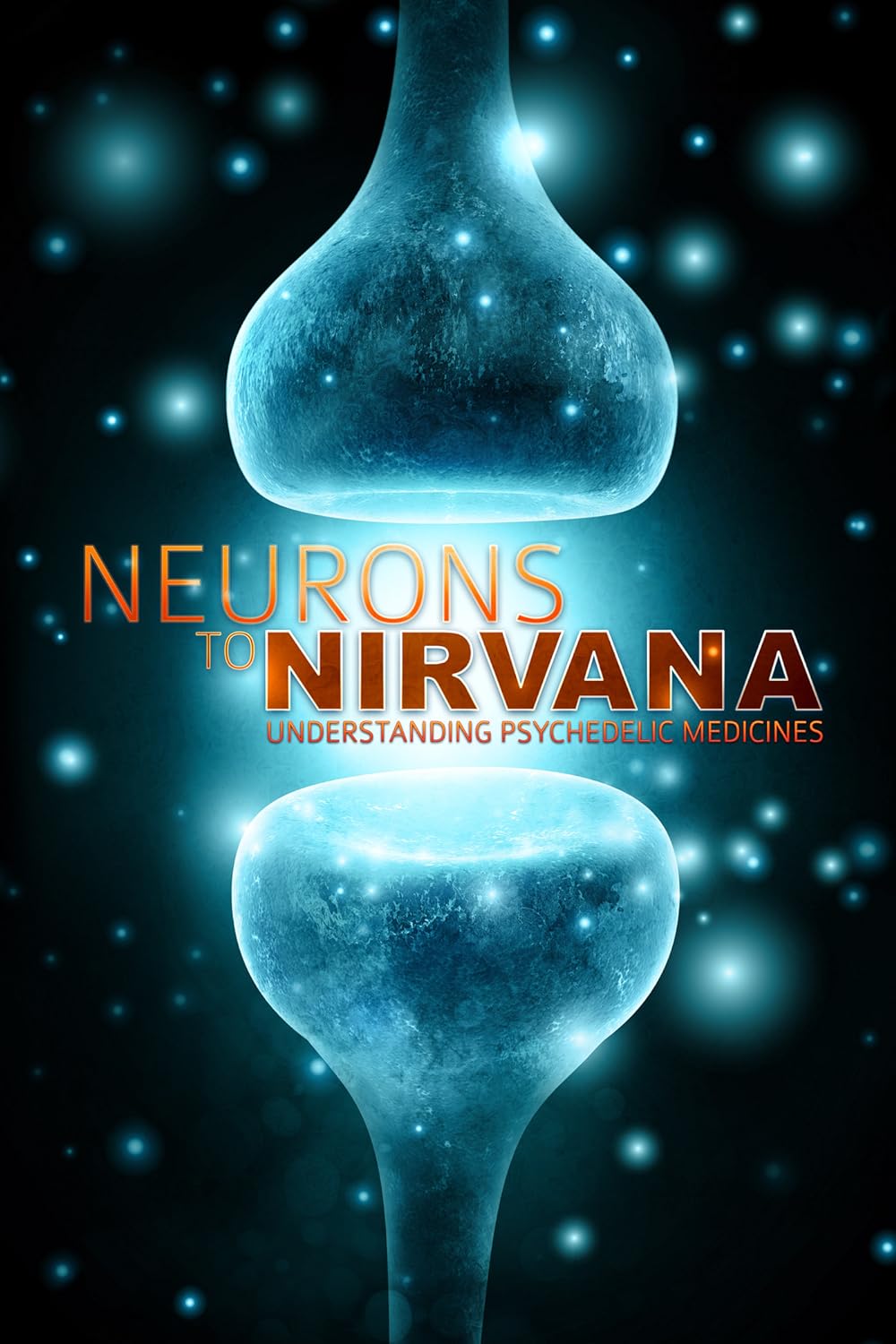 Neurons to Nirvana 