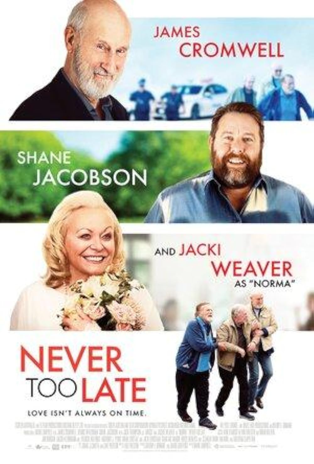 Never Too Late 