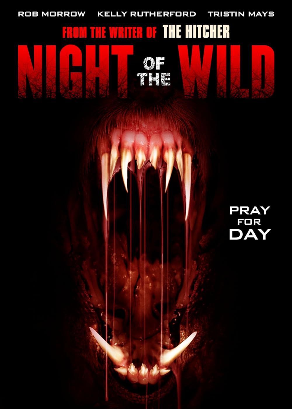 Night of the Wild 