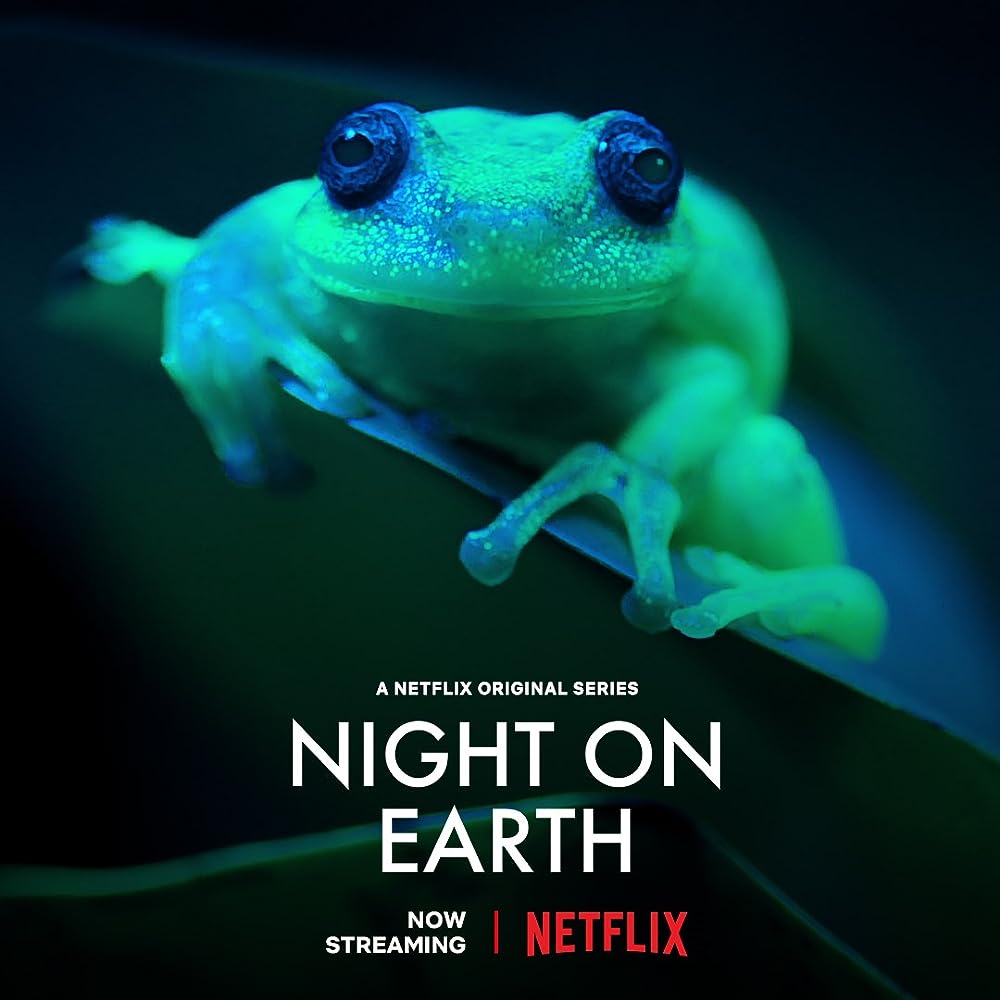 Night on Earth 