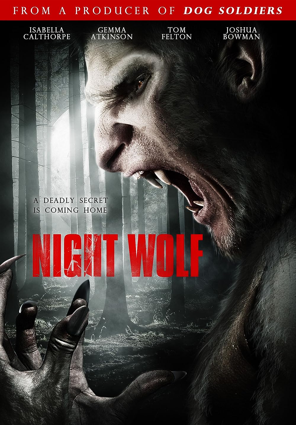 Night Wolf 