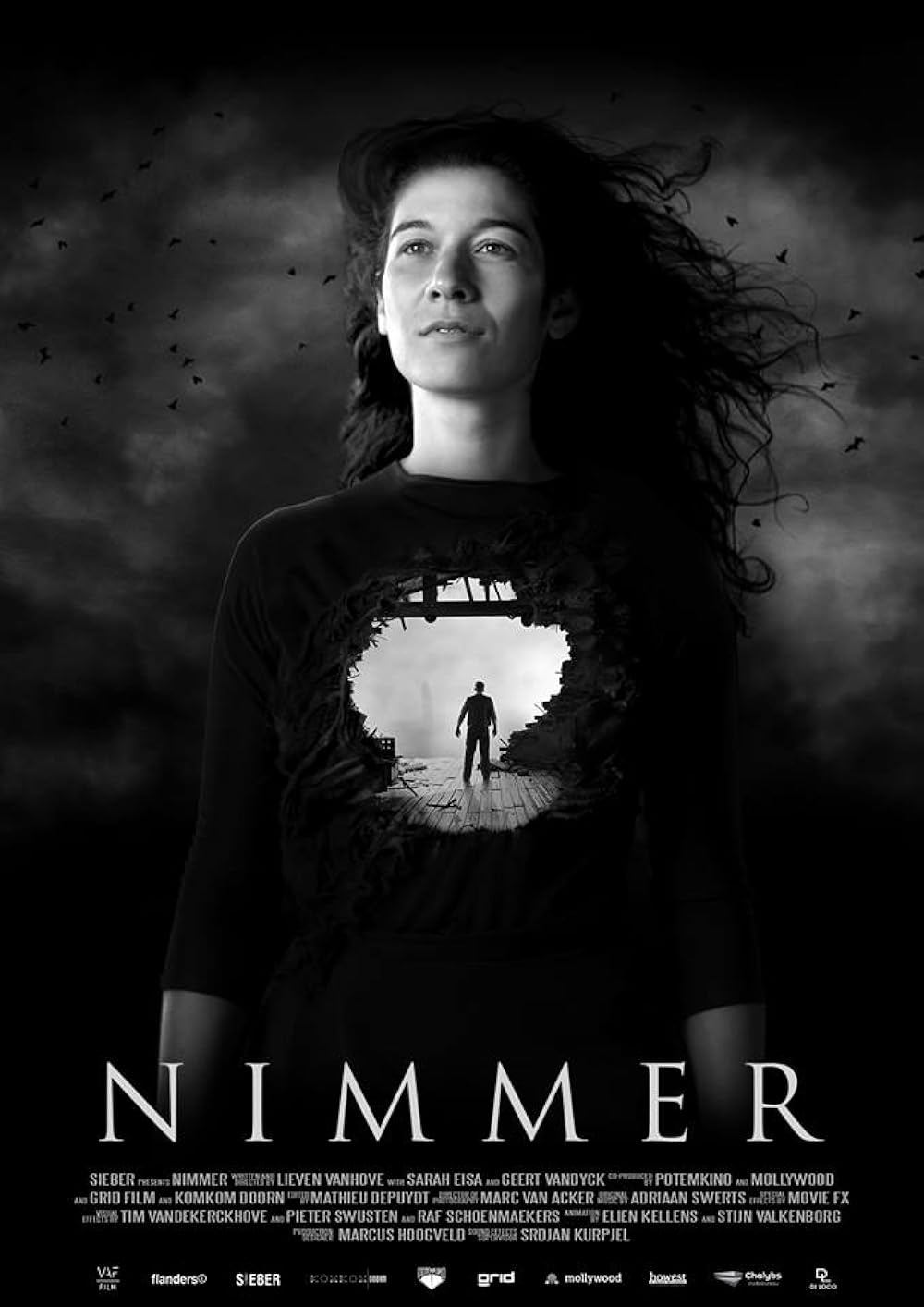 Nimmer 