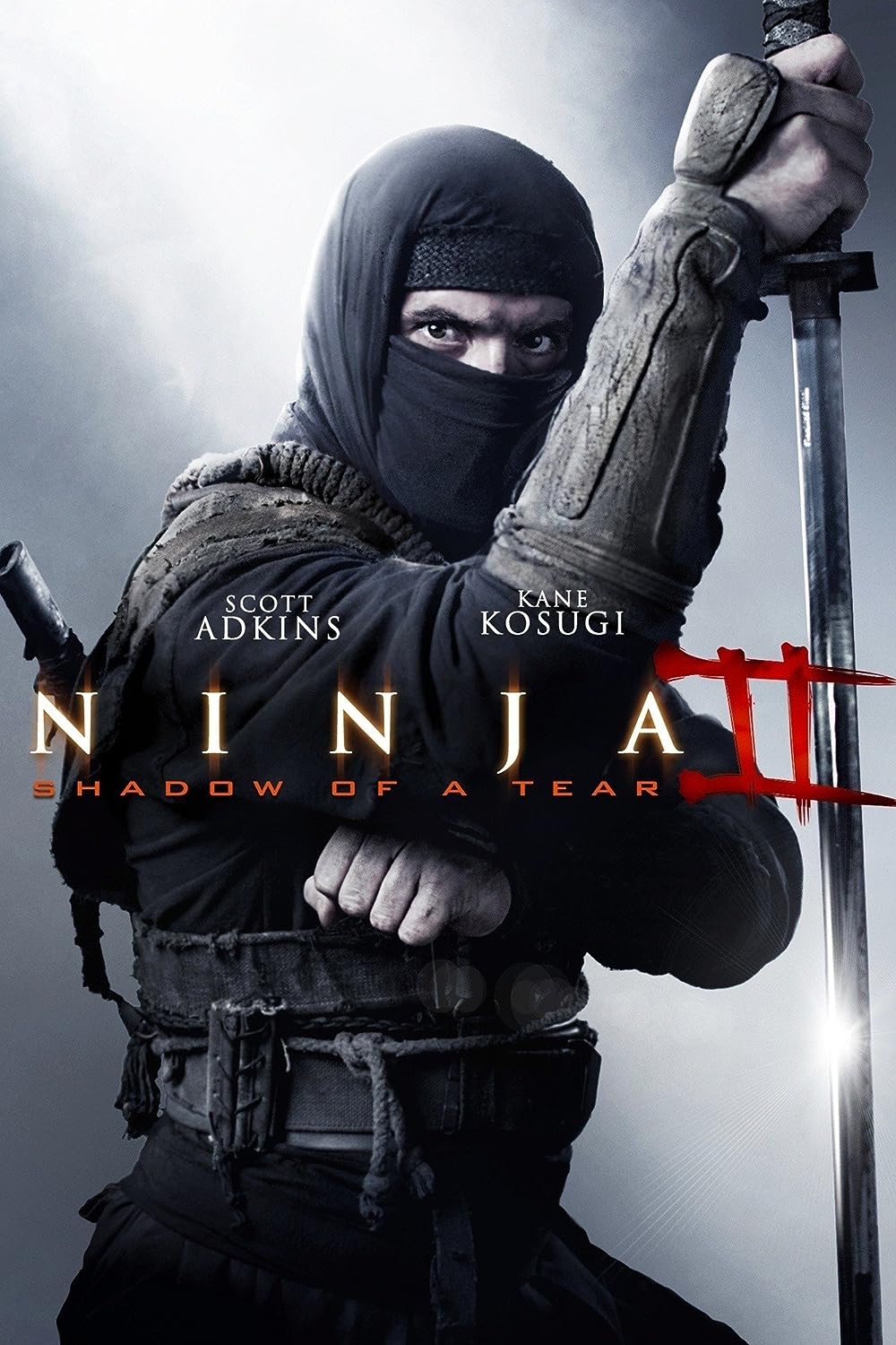 Ninja: Shadow of a Tear 